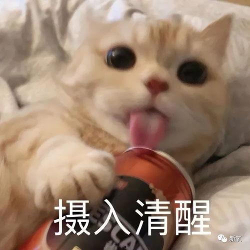 娱乐吃瓜酱不开心,揭秘背后原因